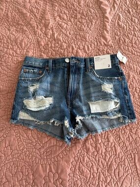 High-Rise Distressed Denim Shorts in Blue